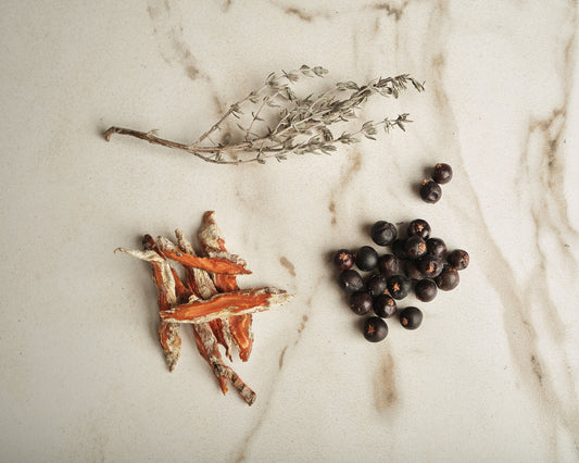 Packs bouquet garni